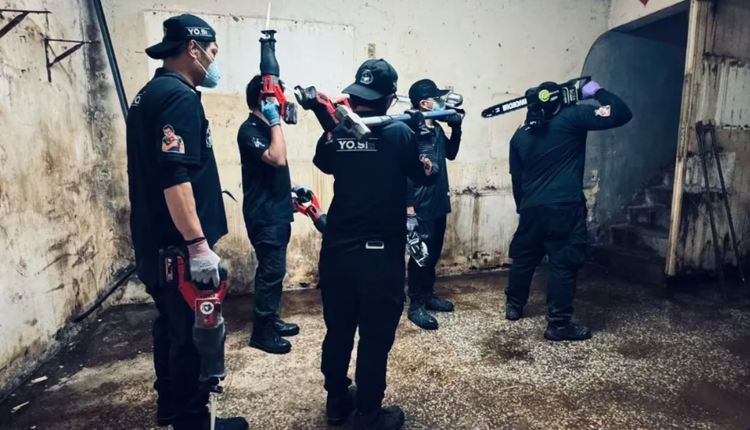 网络图片