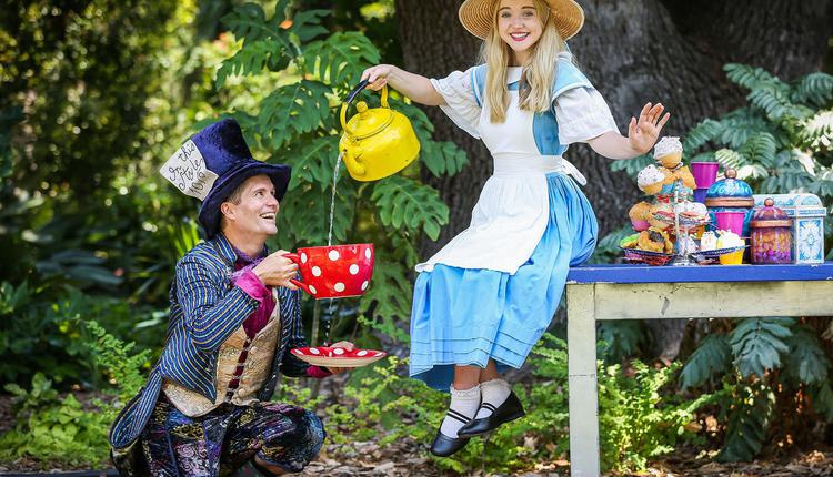 ALICE IN WONDERLAND