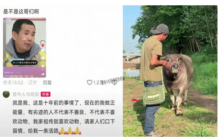 绝命糖师,放牛,网红,毒贩,贩毒,毒犯