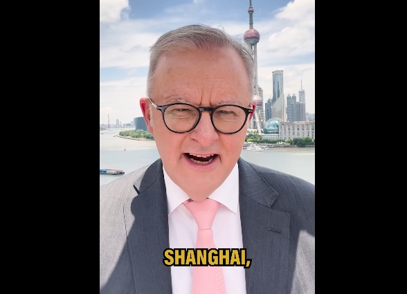 阿尔巴尼斯