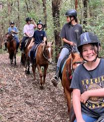 Otford Horse Riding Farm