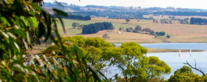 Oberon