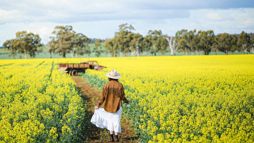 Cornella Canola Walk
