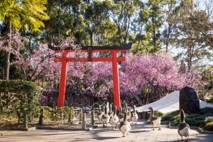 Auburn植物園