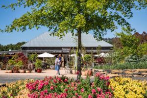 Mayfield Garden