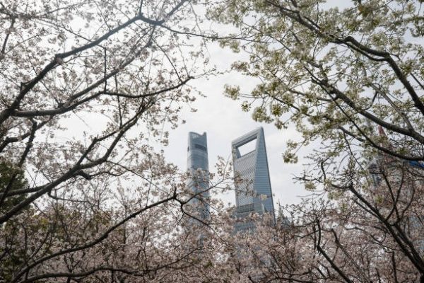 圖右大廈是被暱稱為「開瓶器」的上海環球金融中心。（Yves Dean/Getty Images）