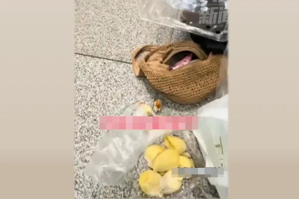 雲南昆明機場有兩名旅客因無法攜帶榴槤上飛機，選擇就地吃完7斤，結果「吃完放屁都有一陣榴槤味」。（視頻擷圖）