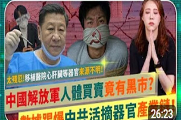 台湾财经网红胡采苹4月19日上传视频，以数据踢爆中共活摘器官产业链。（Emmy追剧时间视频撷图）