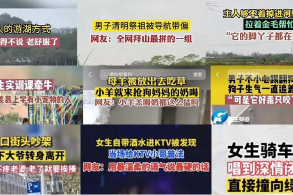 网络图片