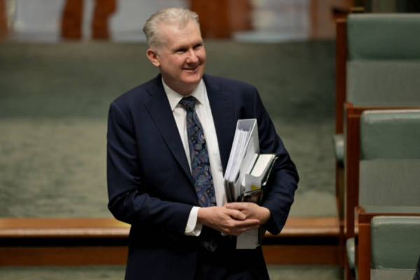 澳大利亚国会议员、内政部长托尼·伯克（Tony Burke）。 (Photo by Tracey Nearmy/Getty Images)