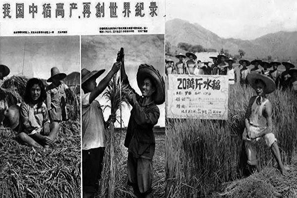 90后小伙搬砖致富的故事，与大跃进亩产万斤的宣传（图）如出一辙。（公有领域）