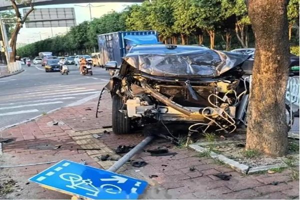 一辆问界M7去年7月行驶于广州时，。突然加速撞上绿化带（网络图片）