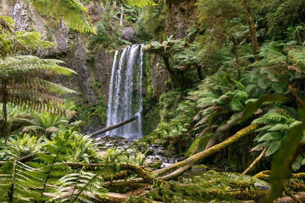 图片来源：Visit Victoria