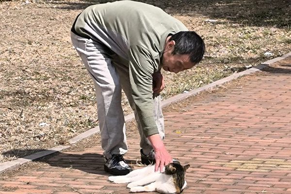640 (36)