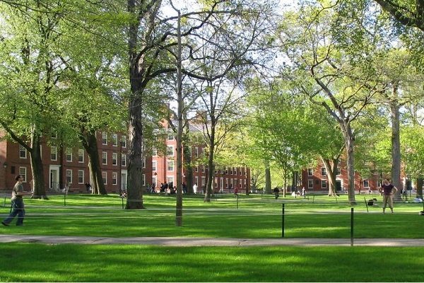 哈佛大学校园最古老的部分之一「哈佛园」。（公有领域）