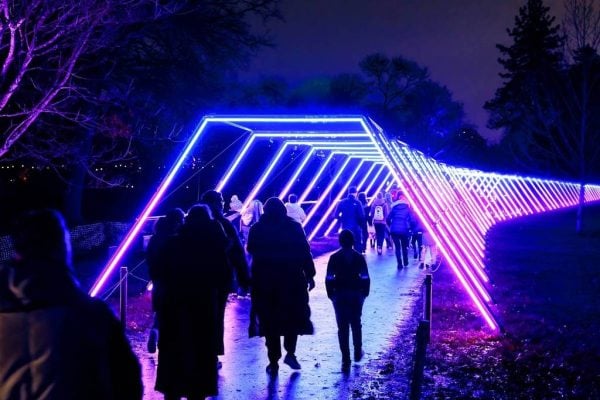 令人惊艳的夜间光影盛宴 Lightscape 第四季华丽回归。