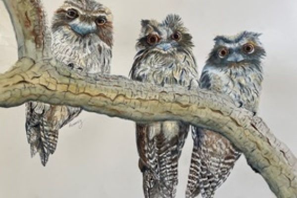 Three Wise Tawnys by Rosemary Morgan IMG_4539