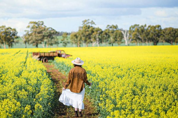 Cornella Canola Walk