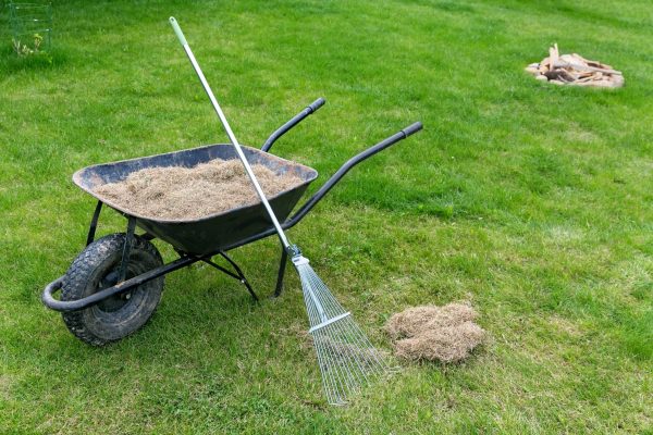 dethatching-lawn-scaled