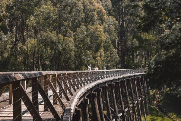 noojee-trestle-bridge