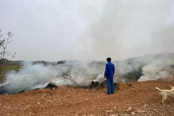 ◉在本轮洪涝之前，广西经历了半年多的大旱。位于贵港的百草园生态农场，清明节前因太干燥而发生火灾，烧掉十几棵荔枝和皇帝柑。供图：何晓娜