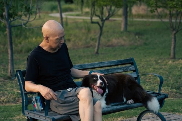 動物療癒在長者生活中的奇蹟（图片来源：unsplash）