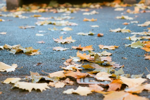 （图：Unsplash）