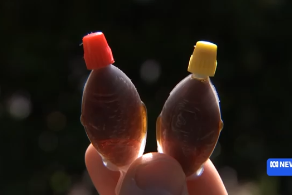南澳大利亚州率先禁止使用一次性酱油塑料鱼 | ABC 新闻 / 优兔视频截图