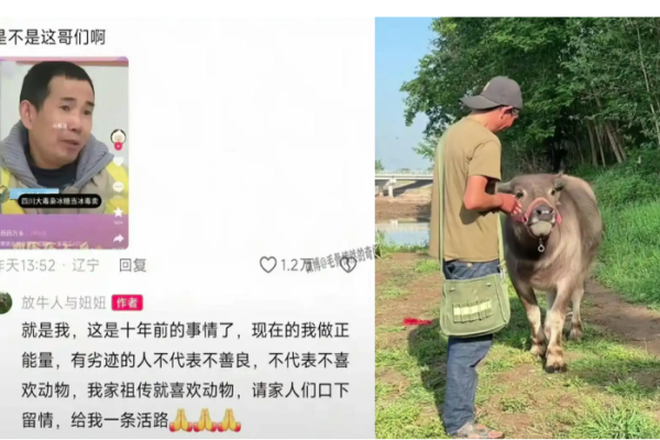 绝命糖师,放牛,网红,毒贩,贩毒,毒犯
