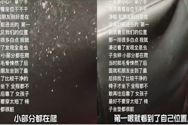 广东,影院,虫卵,太恶,卫生