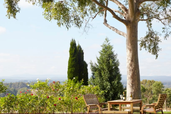 Petersons Winery